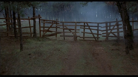 bats2_barriere